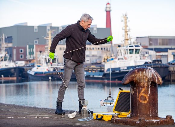 Invasive species in the Sloehaven, Vlissingen