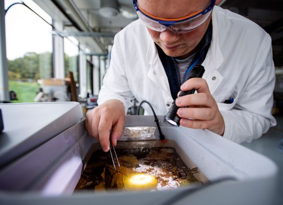 Ecotoxicological effects on communities through eDNA techniques